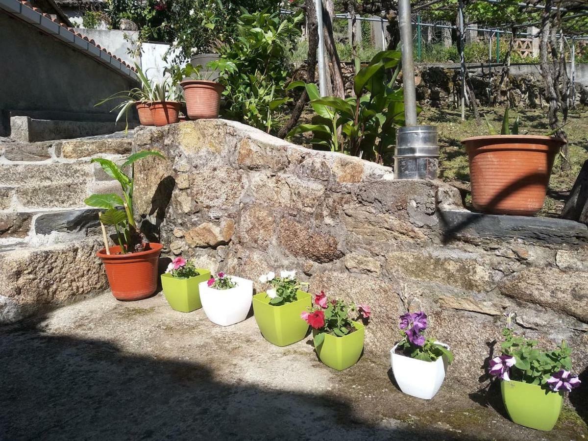 فيلا Casa En Vinoas المظهر الخارجي الصورة